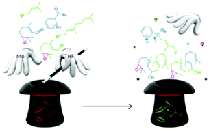 Graphical abstract: Highly regioselective and chemoselective titanocene mediated Barbier-type allylation reactions