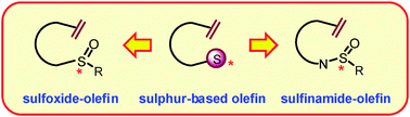 Graphical abstract: Simple sulfur–olefins as new promising chiral ligands for asymmetric catalysis