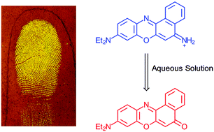 Graphical abstract: Aqueous Nile blue: a simple, versatile and safe reagent for the detection of latent fingermarks