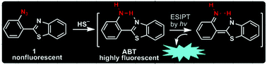 Graphical abstract: A new fluorescent probe for gasotransmitter H2S: high sensitivity, excellent selectivity, and a significant fluorescence off–on response