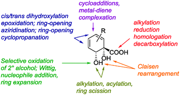 Graphical abstract: Applications of biocatalytic arene ipso,ortho cis-dihydroxylation in synthesis