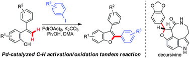 Graphical abstract: Palladium-catalyzed synthesis of benzofurans via C–H activation/oxidation tandem reaction and its application to the synthesis of decursivine and serotobenine