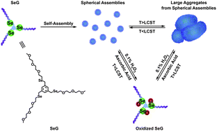 Graphical abstract: Redox-responsive thermal sensitivity based on a selenium-containing small molecule