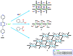 Graphical abstract: Analysis of the contribution of the π-acidity of the s-tetrazine ring in the crystal packing of coordination polymers