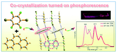 Graphical abstract: Co-crystallization turned on the phosphorescence of phenanthrene by C–Br⋯π halogen bonding, π–hole⋯π bonding and other assisting interactions