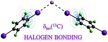 Graphical abstract: Correlation between 13C chemical shifts and the halogen bonding environment in a series of solid para-diiodotetrafluorobenzene complexes