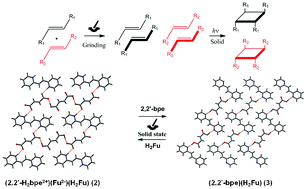 Graphical abstract: Self-assembly, concomitant photochemical processes, and improvement of the yield of [2 + 2] photoreactions from supramolecular arrays via mechanochemical assistance