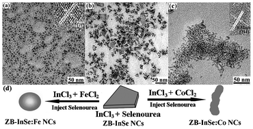 Graphical abstract: Synthesis of doped zinc blende-phase InSe:M (M = Fe and Co) nanocrystals for diluted magnetic semiconductor nanomaterials