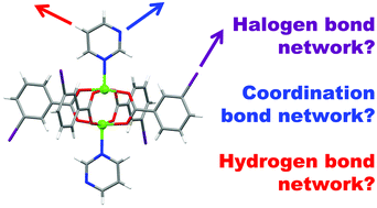 Graphical abstract: Coordination chemistry meets halogen bonding and hydrogen bonding: building networks from 3-iodobenzoate paddlewheel units [Cu2(3-Ibz)4(L)2]
