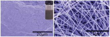 Graphical abstract: Facile Cl−-mediated hydrothermal synthesis of large-scale Ag nanowires from AgCl hydrosol