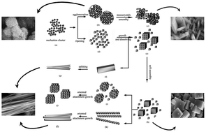 Graphical abstract: Morphology-controlled synthesis and growth mechanism of lead-free bismuth sodium titanate nanostructures via the hydrothermal route
