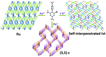 Graphical abstract: Metal-directed topological diversity of three fluorescent metal–organic frameworks based on a new tetracarboxylate strut