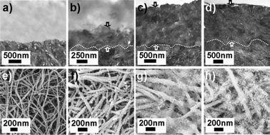 Graphical abstract: Remineralization of dentin collagen by meta-stabilized amorphous calcium phosphate