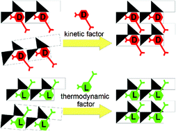 Graphical abstract: Solid solutions of quasi-isomorphous diastereomeric salts – kinetics versus thermodynamics