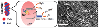 Graphical abstract: Nanoparticle heterojunctions in ZnS–ZnO hybrid nanowires for visible-light-driven photocatalytic hydrogen generation