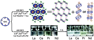 Graphical abstract: Inorganic anion-aided coordination of lanthanide metal ions to cucurbituril and supramolecular self-assembly: potential applications in the separation of light lanthanides