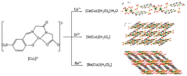 Graphical abstract: Heterometallic coordination polymers based on dipeptide schiff base Cu(ii) metalloligand: synthesis, structures, and magnetic properties