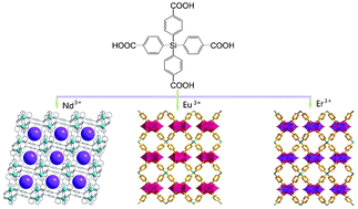 Graphical abstract: Construction of lanthanide metal–organic frameworks with highly-connected topology based on a tetrapodal linker
