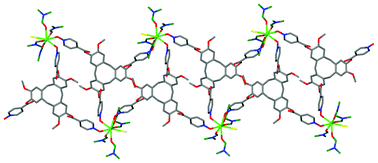 Graphical abstract: Lanthanide coordination polymers with pyridyl-N-oxide or carboxylate functionalised host ligands