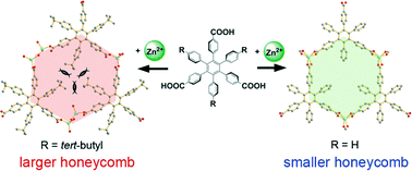 Graphical abstract: Stepwise tuning of the substituent groups from mother BTB ligands to two hexaphenylbenzene based ligands for construction of diverse coordination polymers