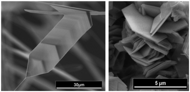 Graphical abstract: Influence of indium doping on the morphology of ZnS nanostructures grown by a vapor–solid method