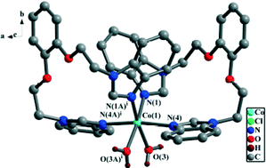 Graphical abstract: Copper(ii) and cobalt(ii) complexes based on bis-benzimidazolyl ligand with 1,2-bis(2′-ethoxy)phenyl linker: synthesis, crystal structure and conformations