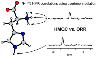 Graphical abstract: Identifying H–N proximities in solid-state NMR using 14N overtone irradiation under fast MAS