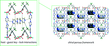 Graphical abstract: Host–guest key–lock hydrogen-bonding interactions: a rare case in the design of a V-shaped polycarboxylate Ni(ii)-based chiral coordination polymer