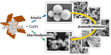 Graphical abstract: Morphological diversity of Mn(iii) metalloporphyrin-based nano- and microsized CPAs assembled via kinetic and thermodynamic controls and their application in heterogeneous catalysis