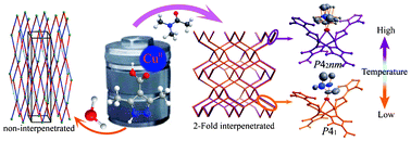 Graphical abstract: Two new polar coordination polymers with diamond networks: interpenetration and thermal phase transition