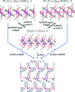 Graphical abstract: Solid- and solution-state structural transformations in flexible lead(ii) supramolecular polymers