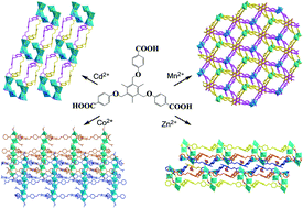Graphical abstract: Synthesis and properties of four coordination polymers built from a semi-rigid tripod carboxylic acid