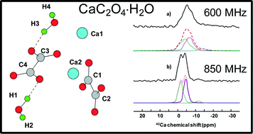 Graphical abstract: Whewellite, CaC2O4⋅H2O: structural study by a combined NMR, crystallography and modelling approach