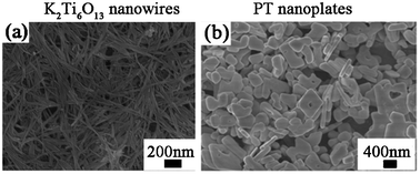 Graphical abstract: Hydrothermal synthesis of ferroelectric PbTiO3 nanoparticles with dominant {001} facets by titanate nanostructure