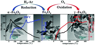 Graphical abstract: Structural evolution and characteristics of the phase transformations between α-Fe2O3, Fe3O4 and γ-Fe2O3 nanoparticles under reducing and oxidizing atmospheres