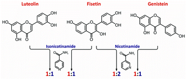 Graphical abstract: Cocrystals of fisetin, luteolin and genistein with pyridinecarboxamide coformers: crystal structures, analysis of intermolecular interactions, spectral and thermal characterization