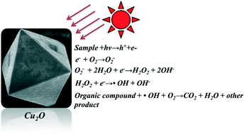 Graphical abstract: The morphology dependence of cuprous oxide and its photocatalytic properties