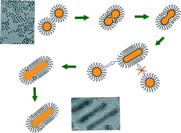 Graphical abstract: Surface ligand mediated growth of CuPt nanorods