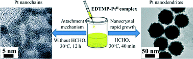 Graphical abstract: Facile synthesis and electrocatalytic application of phosphonate functionalized platinum nanodendrites