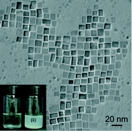 Graphical abstract: Solvothermal growth of sub-10 nm monodispersed BaTiO3 nanocubes