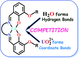 Graphical abstract: Crystal structures of discrete, one-dimensional and cocrystalline copper(ii)–uranyl(vi) systems: the influence of the reactant ratio in the competition between hydrogen bonds and coordinate bonds