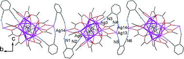 Graphical abstract: Assembly of organometallic networks with multinuclear silver(i)–ethynediide supramolecular synthon, trifluoroacetate and ligands derived from isomeric dicyanobenzenes