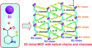 Graphical abstract: A novel 3-D chiral bismuth–organic framework with mixed carboxylate, pyridine and thiolate donors exhibiting a semiconductive property