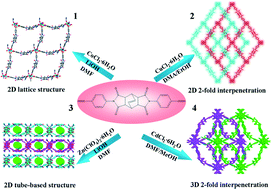 Graphical abstract: Structural diversity of four new metal–organic frameworks with a curved tetracarboxdiimide dicarboxylic acid