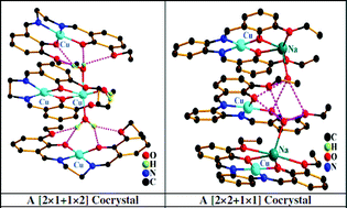 Graphical abstract: A tale of crystal engineering of metal complexes derived from a special ligand family having a cosmopolitan compartment