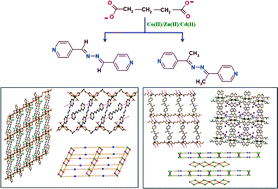 Graphical abstract: Flexible dicarboxylate based pillar-layer metal organic frameworks: differences in structure and porosity by tuning the pyridyl based N,N′ linkers