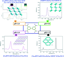 Graphical abstract: Polymorphic Ln(iii) and BPTC-based porous metal–organic frameworks with visible, NIR photoluminescent and magnetic properties