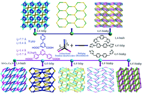 Graphical abstract: Syntheses, structures, and properties of a series of 2D and 3D coordination polymers based on trifunctional pyridinedicarboxylate and different (bis)imidazole bridging ligands