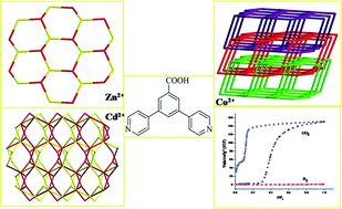 Graphical abstract: Synthesis, characterization and selective hysteretic sorption property of metal–organic frameworks with 3,5-di(pyridine-4-yl)benzoate