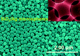Graphical abstract: Silica/ultrasmall Ag composite microspheres: facile synthesis, characterization and antibacterial and catalytic performance